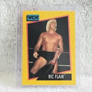 5/$20 Excellent 1991 Impel Rick Flair WCW Wrestling Card 47!!